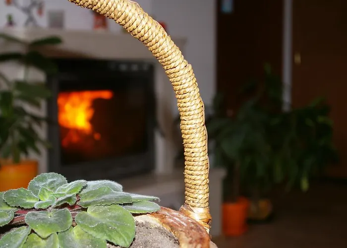 Nevena Apartman Banszko