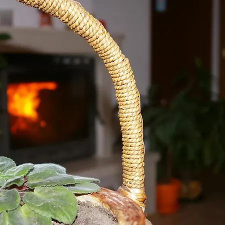 Nevena Apartament Bansko